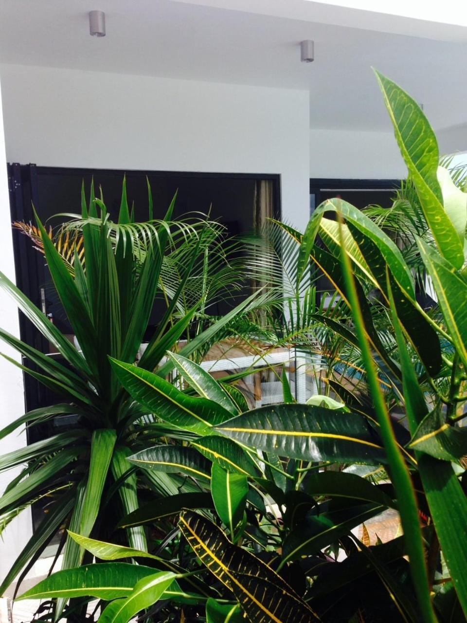 Pingo Premium Apartment La Gaulette Ruang foto